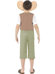 Roald Dahl BFG Costume - Childs