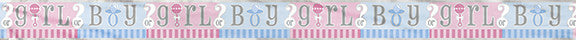 Banner - Boy or Girl?