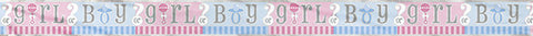 Banner - Boy or Girl?