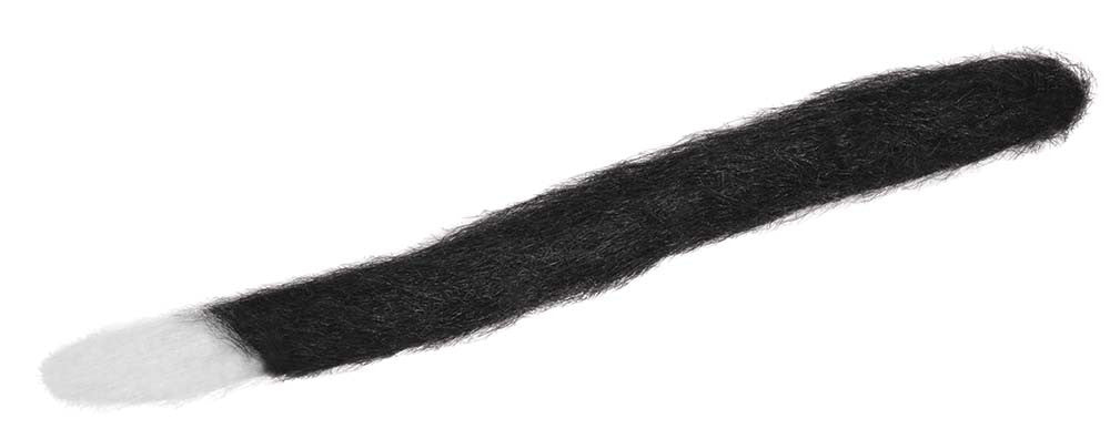 Tail - Cat - Fluffy