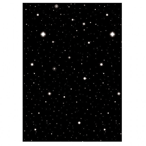 Scene Setter Roll - Hollywood Starry Night